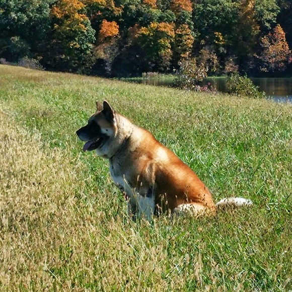 ๐ป๐Michelle๐๐ป - Picture 1 of 8